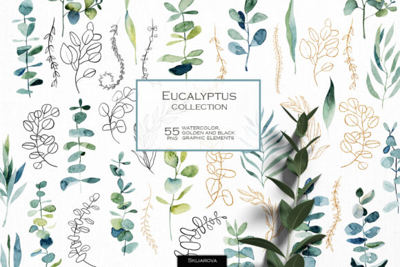 Watercolor Eucalyptus Branches: Fresh, Versatile Design Assets
