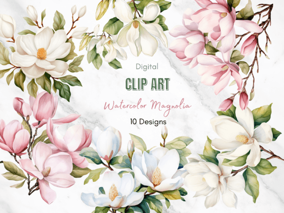 Watercolor Magnolia Clipart: A Designer's Guide to Soft Elegance