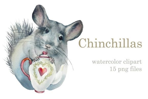 Watercolor Set Chichillas: A Delightful Collection for Creative Projects